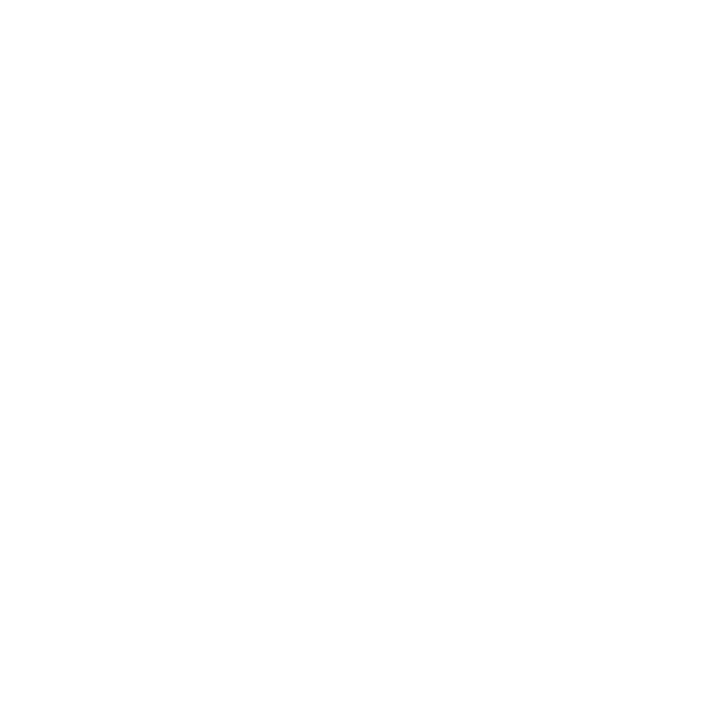 100% Placement Support
